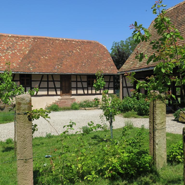 Gite D'Audrey Et Jean Uttenheim Exterior foto