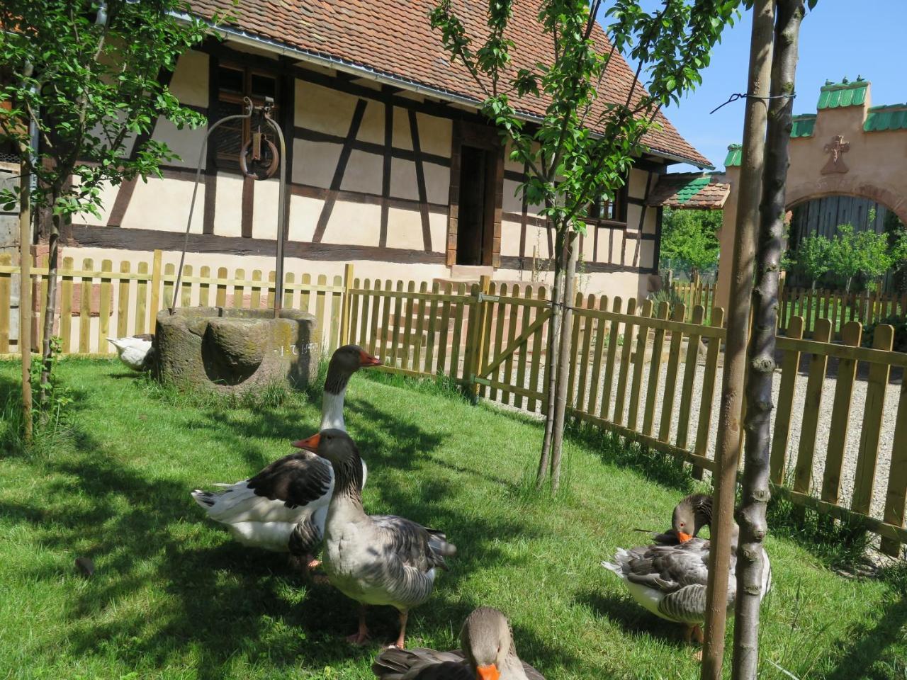 Gite D'Audrey Et Jean Uttenheim Exterior foto
